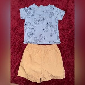 Carter's Chameleon Shirt and Short Set